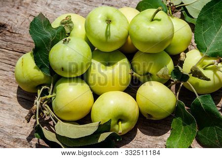 Fresh Ripe Apples On Rustic Wooden Table. Top View