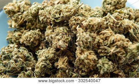 The 10 Most Popular Cannabis Strains.the Best Cannabis Strains For Focus And Add/adhd. Terpenes In I