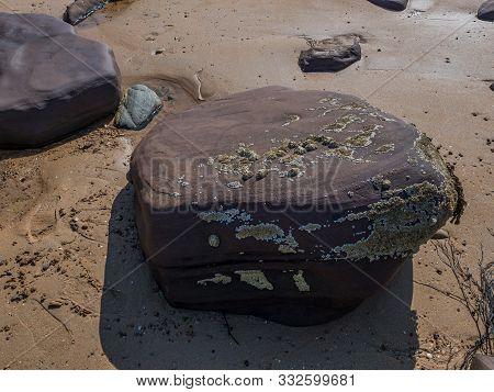 Stones On The Beach In Brora On A Sunny August Day