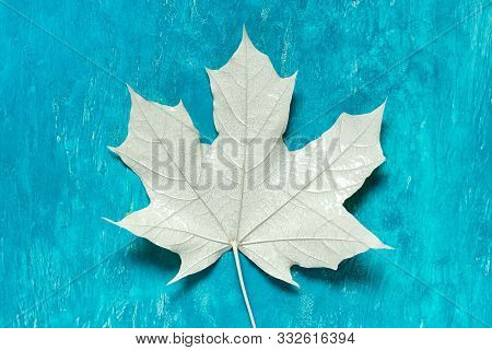 Close Up Of Large Maple Leaf Colored With White Dye On Blue Acrylic Paint Background.