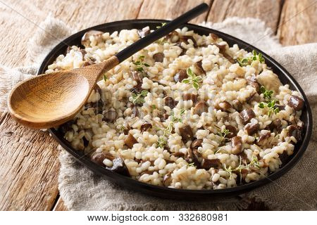 Delicious Homemade Barley Orzotto With Forest Porcini Mushrooms And Thyme Closeup On A Plate. Horizo