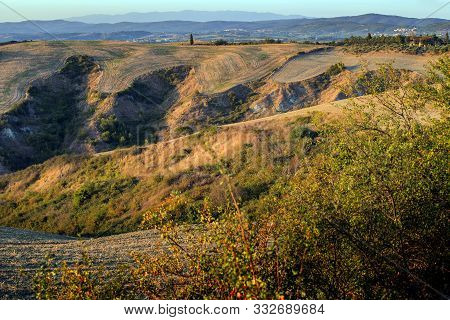 Landscape Of The Siena Hills At Sunset