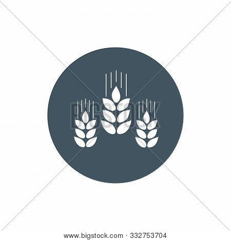 Ears Of Wheat, Barley Or Rye Vector Visual Graphic Icons, Ideal For Bread Packaging, Beer Labels Etc