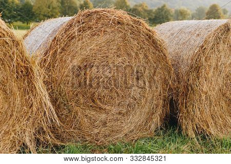 Haystack Harvest Field Landscape. Haystack Agriculture Field Landscape. Agriculture Field Haystacks.