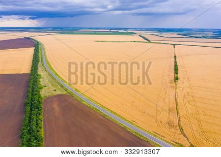 Asphalt Road Through The Field And Panorama Of A Wheat Field, Wheat Crop In Russia, Thunderclouds Ov