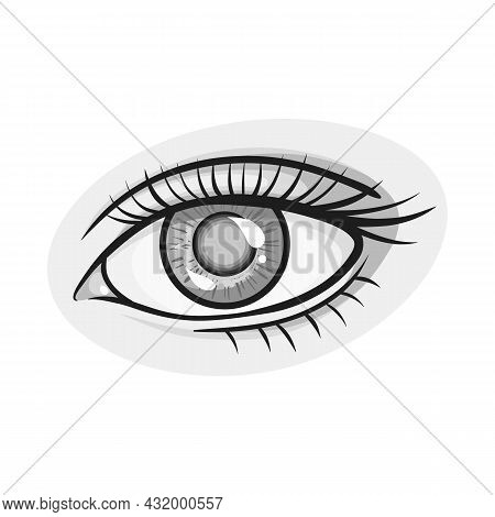 Vector Design Of Eye And Eyesight Logo. Web Element Of Eye And Diagnostic Vector Icon For Stock.