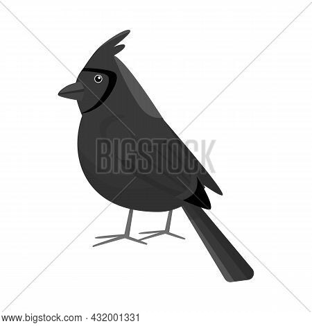 Isolated Object Of Cardinal And Red Icon. Collection Of Cardinal And Bird Vector Icon For Stock.
