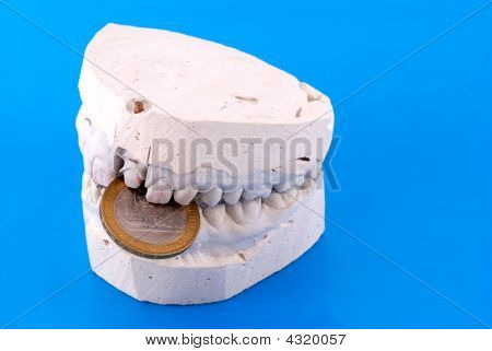 Jaw Holds Coin On Blue