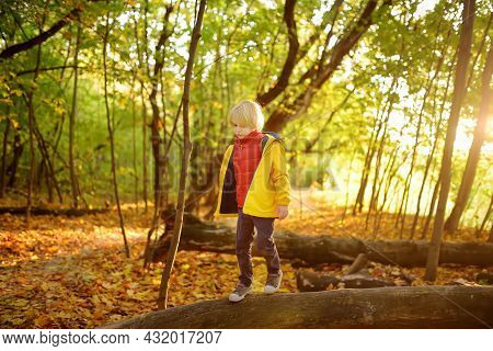 Little Boy Having Fun During Stroll In The Forest At Sunny Autumn Day. Active Family Time On Nature.