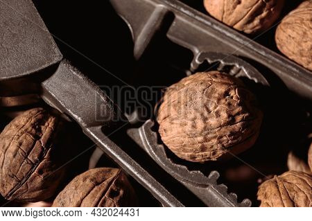 Walnut In A Nutcracker Close-up. Dark Background. Beautiful Background With Food. Healthy Ingredient