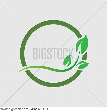 Logos Of Green Leaf Ecology Nature Element Vector