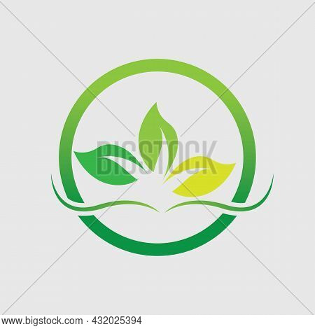 Logos Of Green Leaf Ecology Nature Element Vector