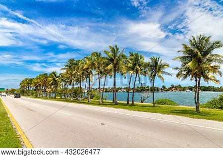 Palm Trees And Road In Miami Beach, Florida