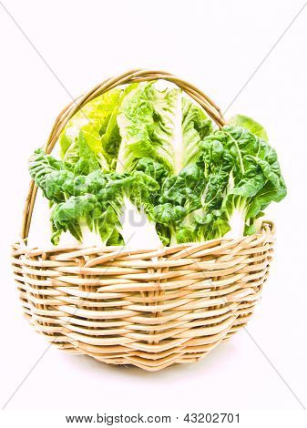 Fresh Baby Bok Choy e Cos insalata nel cestino Ratten Isolated On White Background