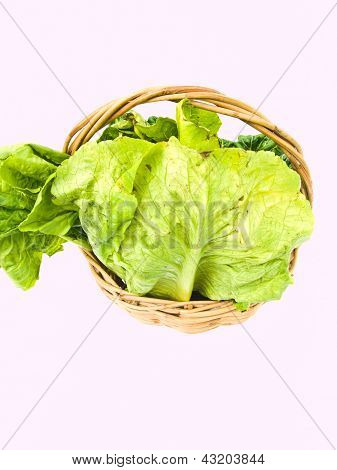 Fresca Cos insalata nel cestino Ratten Isolated On White Background