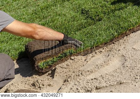 Gardener Laying New Roll Lawn. Male Hands In Gardening Gloves Unrolling Green Grass Rolls
