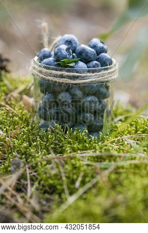 Freshly Picked Blueberries In Bowl On Forest Moss Background. Concept Of Healthy Eating. Bilberries.