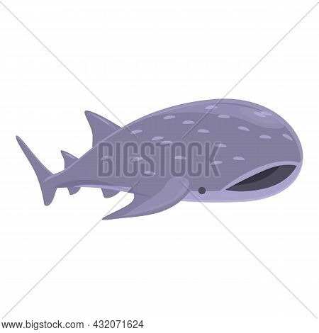 Whale Predator Icon Cartoon Vector. Sea Shark. Underwater Fish