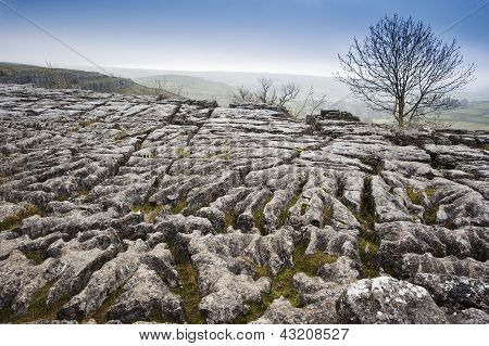 Sonbahar üzerinde kireçtaşı döşeme Malham Yorkshire Dales National Park içinde
