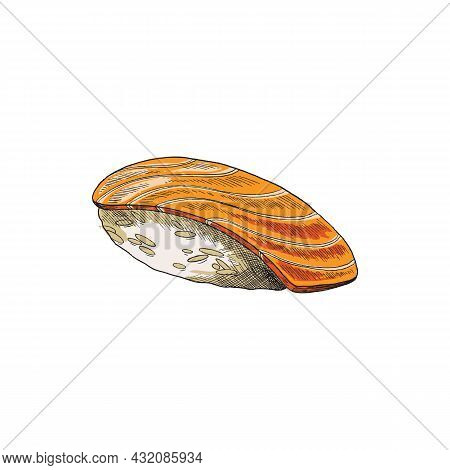 Sushi Or Nigiri Sushi With Salmon Fish, Sketch A Vector Illustration Isolated.