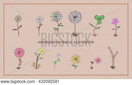 Hand Drawn Flowers Illustration.different Colors And Styles.
