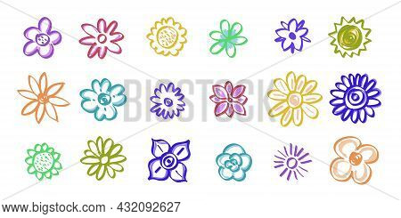 Hand Drawn Colorful Flowers In Different Styles