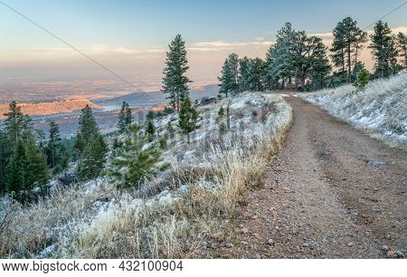 sunset view of plains, foothills and lake in northern Colorado, a view from  Towers Trail in Horsetooth Mountain Park with pine trees covered by frost