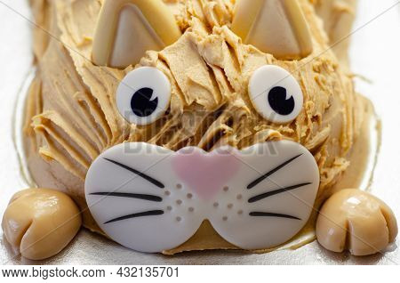 Cake Cat,madeira Sponge, Layered And Coated With Caramel Flavour Frosting, Finished With Edible Suga