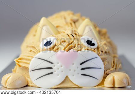 Cake Cat,madeira Sponge, Layered And Coated With Caramel Flavour Frosting, Finished With Edible Suga