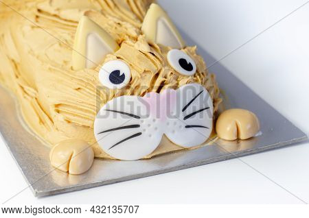 Cake Cat,madeira Sponge, Layered And Coated With Caramel Flavour Frosting, Finished With Edible Suga