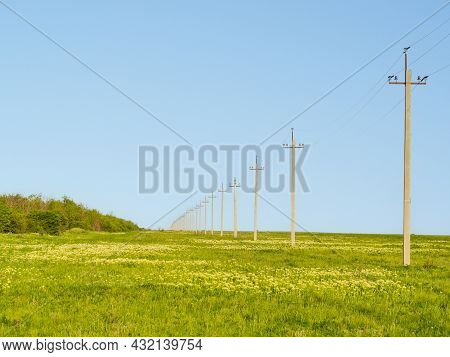 An Endless Field With Flowers And Green Grass In A Rural Farming Area. Poles Of A Power Line With El
