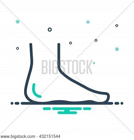 Mix Icon For Foot Leg Paw Human-foot Toe Heel Sole Barefoot Footprint Footstep