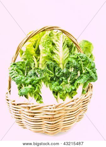 Fresh Baby Bok Choy e Cos insalata nel cestino Ratten Isolated On White Background