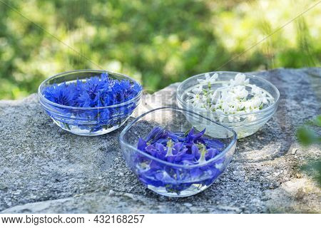 Petals Of Flowers In Water For Plant Tincture