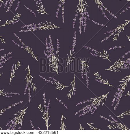 Beautiful Vector Seamless Floral Provence Pattern With Watercolor Hand Drawn Gentle Lavander Flowers