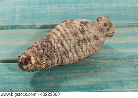 Malanga Edible Tuber - Root Of The Plant Called Colocasia Esculenta