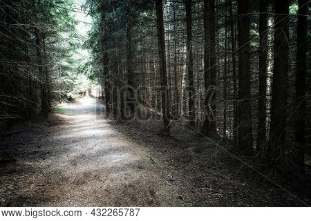  Summer landscape in the Carpathians, Pestera Village, Romania, Europe                            