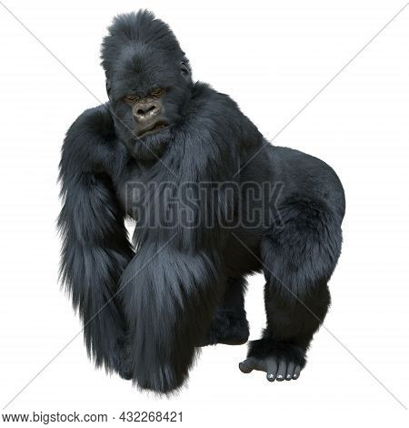 Black Silver Gorilla 3d Illustration Isolated On White