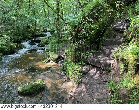 Gorges of the monne river in the green forest, olloix, Puy-de-DÃ´me, Auvergne