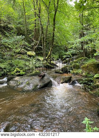 Gorges of the monne river in the green forest, olloix, Puy-de-DÃ´me, Auvergne