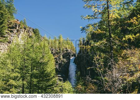 Mountain Autumn Landscape With Vertical Big Waterfall And Yellow Larch Trees. Large Waterfall In Nar