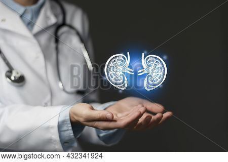Kidney Issues Medical Concept. Photo Of Female Doctor, Empty Space.