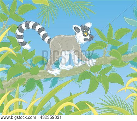 Exotic Tropical Madagascar Ring-tailed Lemur Walking In Thickets Of A Rainforest, Vector Cartoon Ill