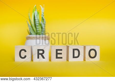Credo Word Written On Wood Block. Yellow Background, Concept