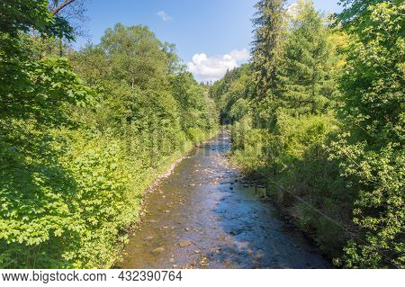 Beginning Of Vistula River Between Trees Near Czernianskie Lake At Summer Time In Wisla, Poland.