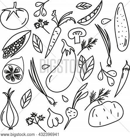 Vegetables Doodle Drawing Collection. Vegetable Such As Carrot, Corn, Mushroom, Cucumber, Potato, To