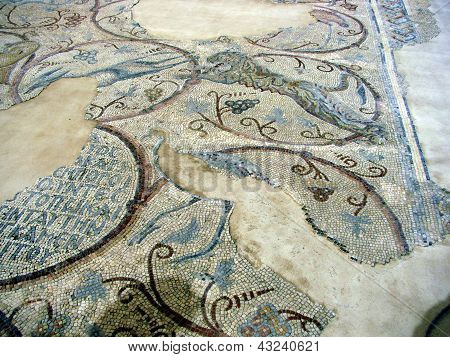 Ancient Mosaic In Good Samaritan Byzantine Church