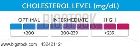 Cholesterol Level Meter Indicator. Medical Speedometer. Chat Control Concept Presentation