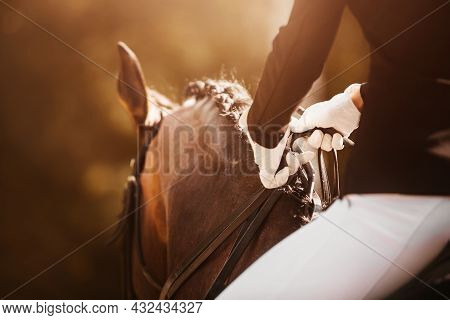 A Rider With White Gloves On His Hands Sits Astride A Bay Horse With A Braided Mane, Holding The Bri