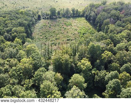 Place Of Felling Of Trees In The Forest, A Clearing. Aerial View Of A Forest Clearing, Landscape. Fe